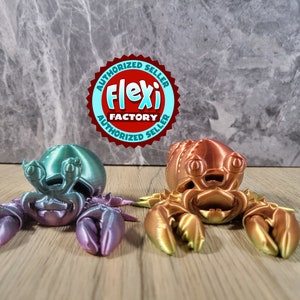 Flexi Hermit Crabs / Fidget Toy / 3D Print