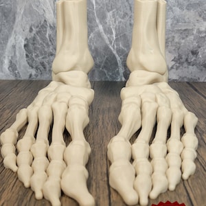 Flexi Skeleton Feet / Fidget Toy / 3D Printed