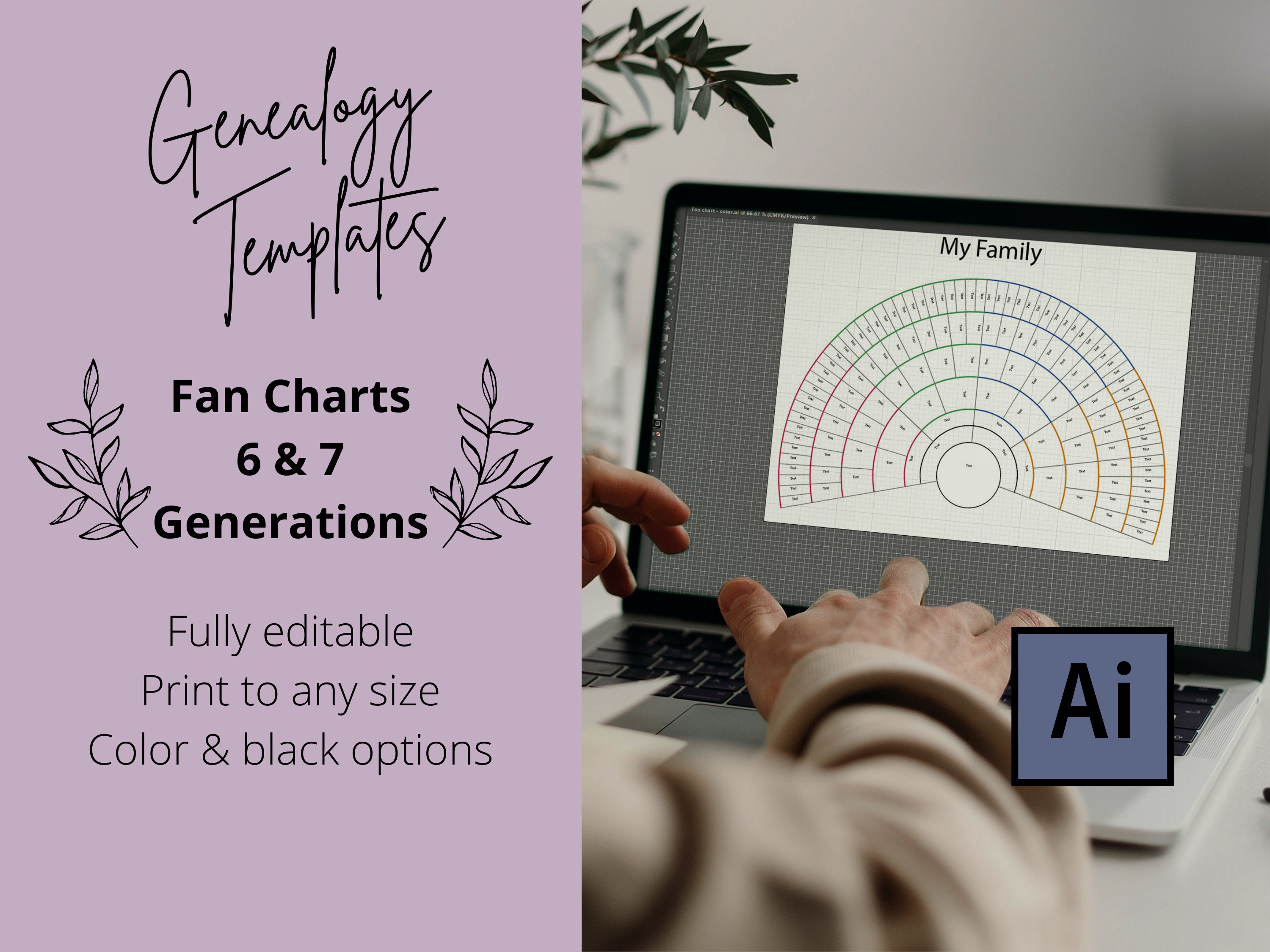 Editable Fan Chart Templates Illustrator Bundle Fan Charts 6