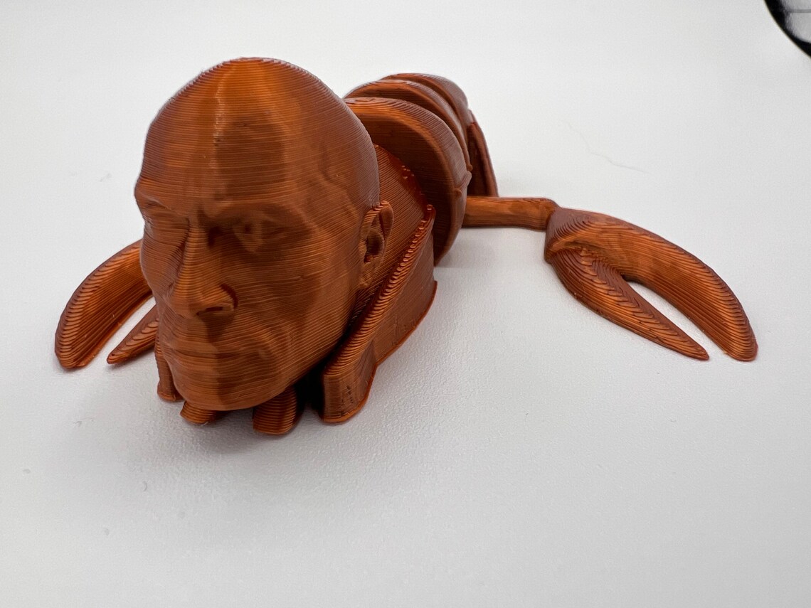 Dwayne Johnson rock Lobster 3d Printed Articulated Toy Gag Etsy Denmark