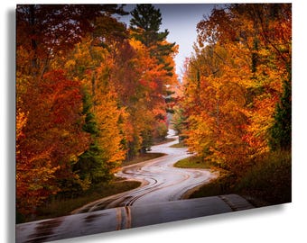May include: A winding road through a forest with vibrant fall foliage in shades of red, orange, and yellow. The road is wet from recent rain, and the trees are reflected in the puddles.