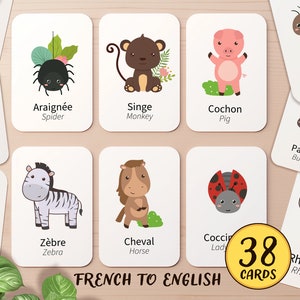 Flashcards pour enfants en français et en anglais sur les animaux, les océans et les insectes | Activité à imprimer avec carte d'école à domicile Montessori pour tout-petits préscolaire préscolaire préscolaire en français