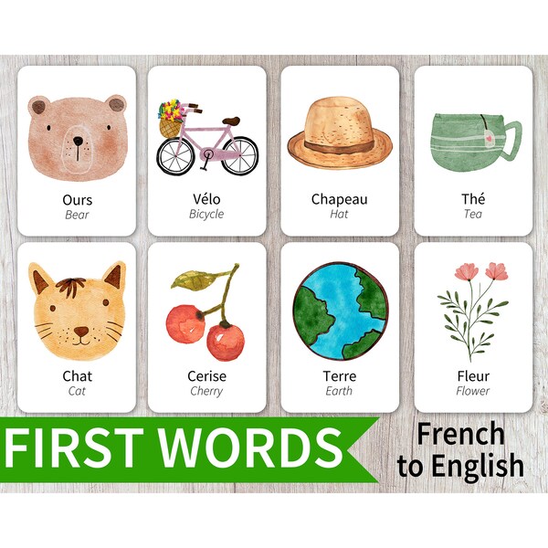 France Flashcards Etsy