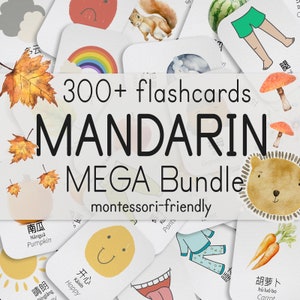 Mandarin lernen Bündel | 300+ Chinesisch Kartei für Kinder | Druckbare Mandarin Homeschool Aktivität | Mandarin School Klassenzimmer Bildkarten