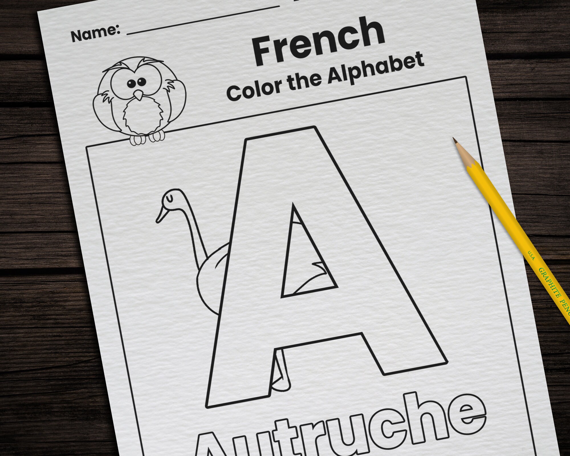French Alphabet, language school poster - ESL letters chart