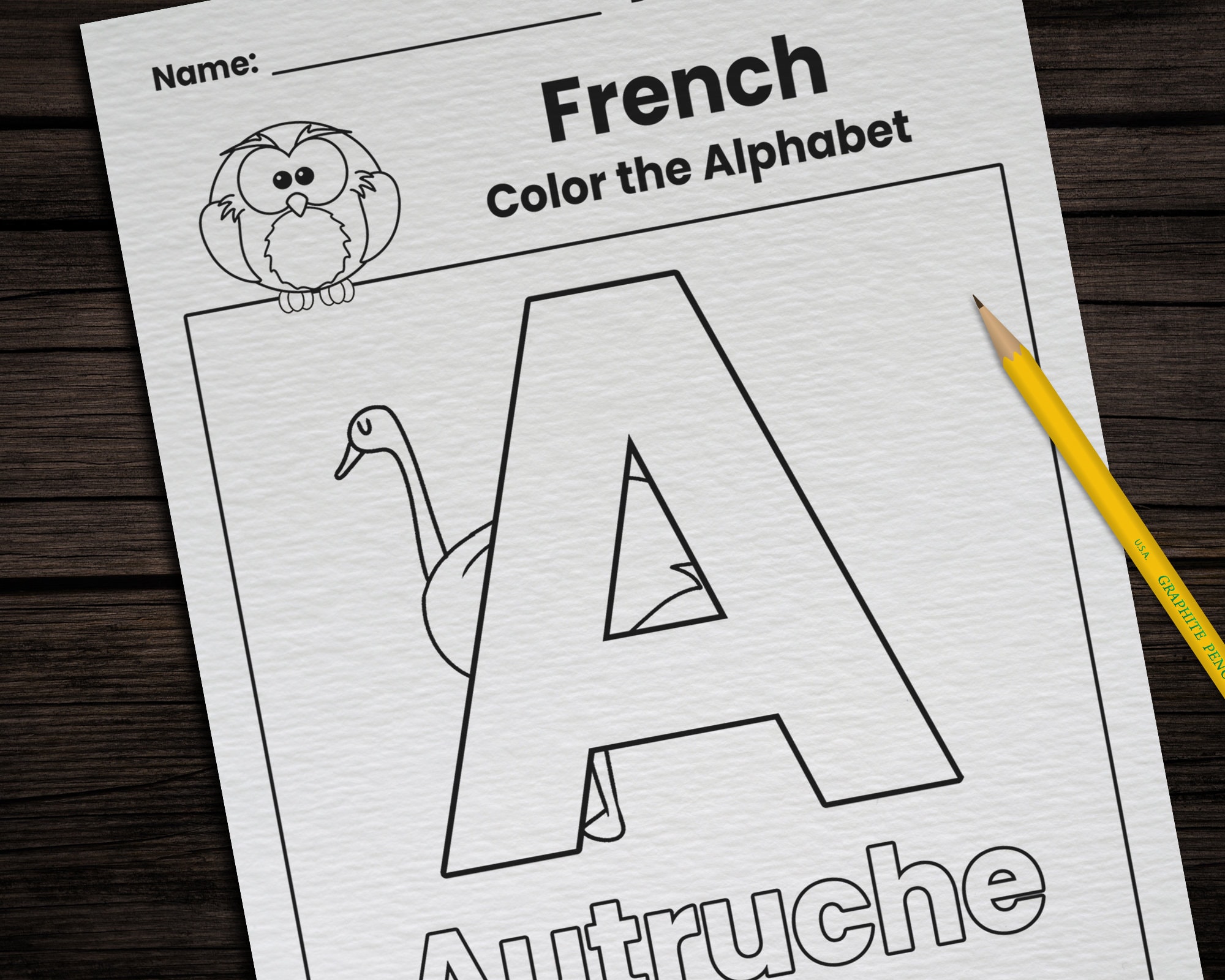 26 French Alphabet Coloring Worksheets for Kids Printable French ABC