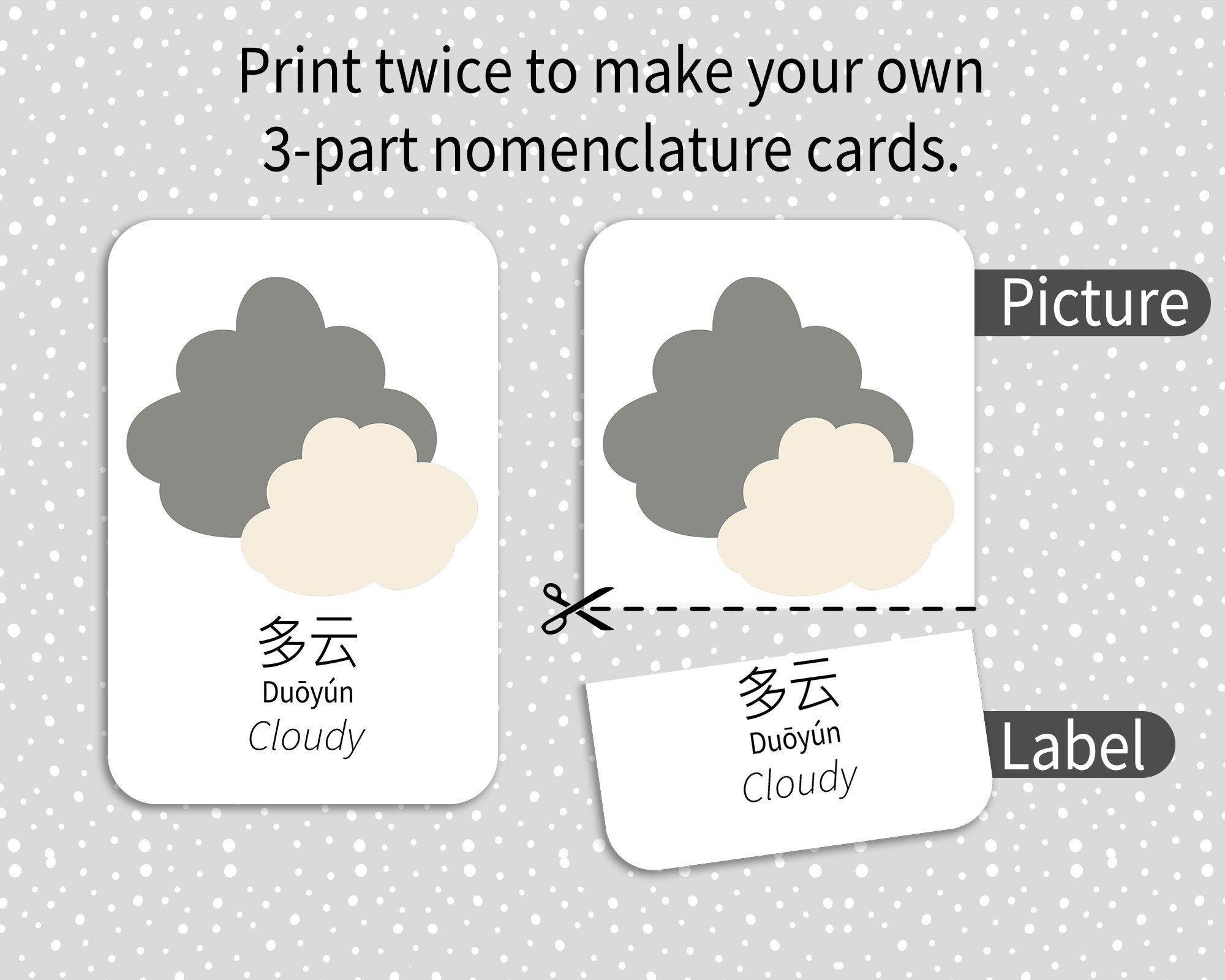 Body Parts in Mandarin Chinese & English: Bilingual Flashcards for Kids ...