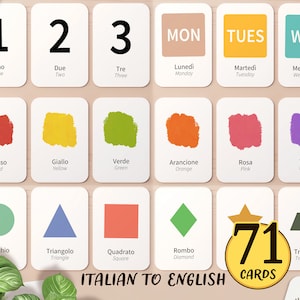 71 Italiaans en Engels BUNDEL Flashcards afdrukbaar | Italiaanse kleuterschool Thuisonderwijs Klaslokaal Montessori-activiteit, zelfstandig naamwoord leren Flash Card voor peuters