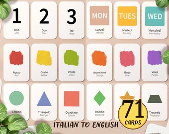 71 Italian & English BUNDLE Flashcards Printable | Italian Preschool Homeschool Classroom Montessori Activity, Learn Noun Toddler Flash Card