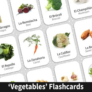 Bilingual Spanish and English Flashcards to help parents who homeschool to teach their children how to speak Spanish for sale on Etsy.