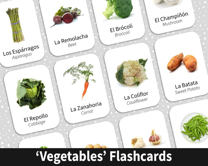 Bilingual Spanish and English Flashcards to help parents who homeschool to teach their children how to speak Spanish for sale on Etsy.