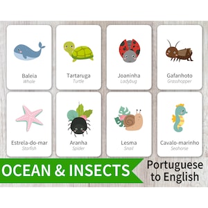 14 cartes-éclair sur l'océan et les insectes en portugais et en anglais à imprimer | Carte Flash Brésilienne pour enfant, école à la maison, classe pour enfant, activité pour tout-petits