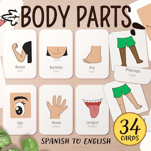 Tarjetas didácticas bilingües en español e inglés para imprimir sobre las partes del cuerpo / Actividad de sustantivos para el aula Montessori preescolar / Tarjeta didáctica de ESL para niños pequeños