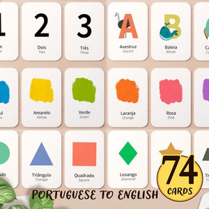 Pacote com 74 flashcards de português e inglês para impressão | Atividade de sala de aula brasileira para pré-escola e educação domiciliar no Brasil Aprenda substantivos | Cartão para crianças pequenas