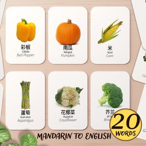20 Mandarin & English Bilingual Vegetables Flashcard Printable | Learn Mandarin Chinese Montessori Pre-K Class Activity | Toddler Flash Card