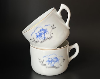 Set di 2 tazze in porcellana Art Déco di Haas & Czjzek Chodau, 180 ml, 1927-1938