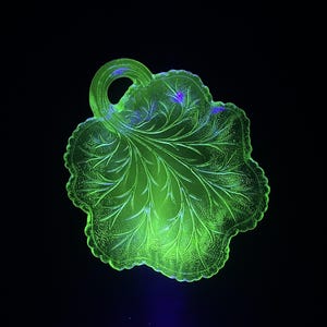 Op de afbeelding: Een levendig neongroen glazen schaaltje in de vorm van een blad met een cirkelvormig handvat aan de bovenkant. Het oppervlak heeft een gedetailleerd reliëfpatroon van nerven en een getextureerde geschulpte rand, fel oplichtend tegen een zwarte achtergrond.