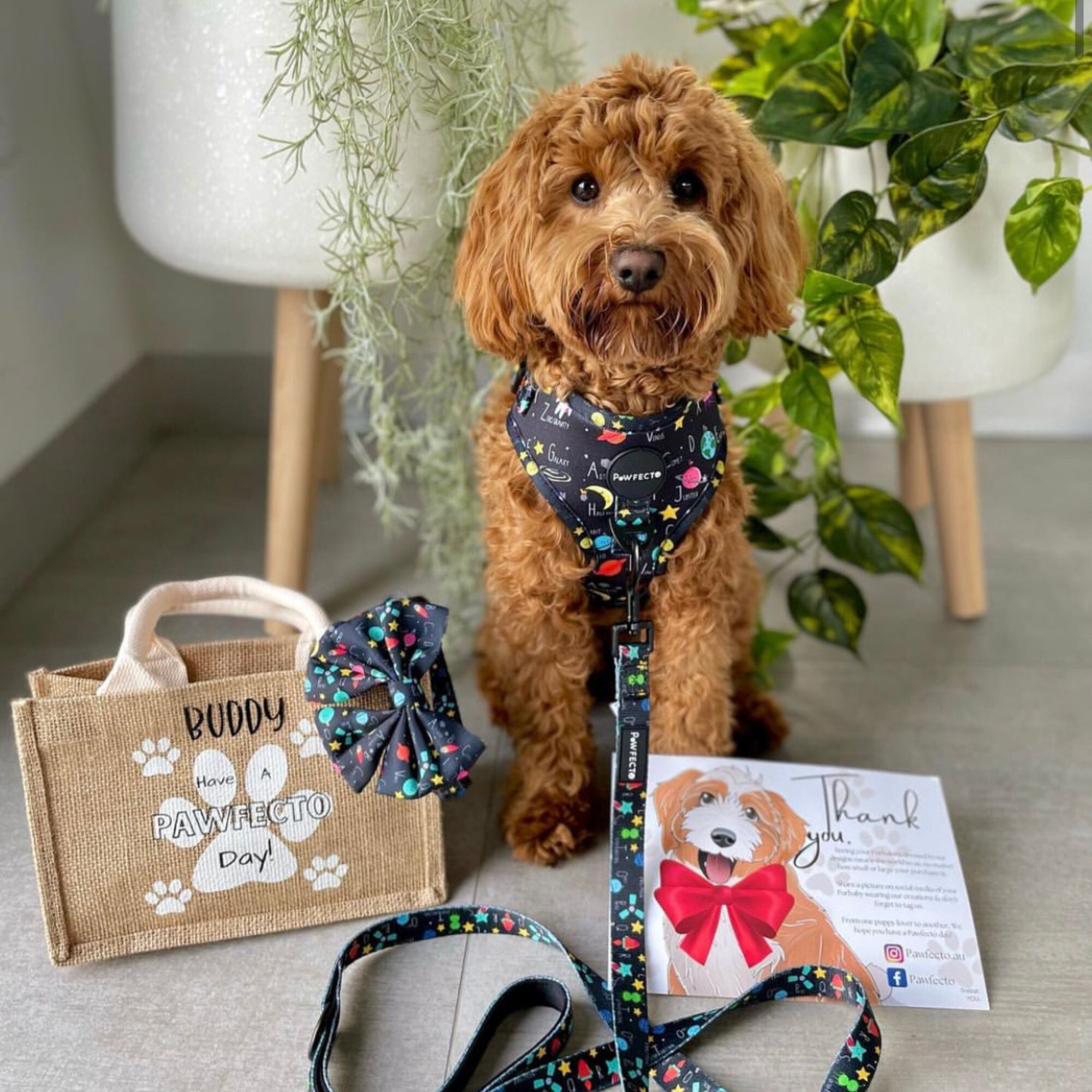 Dog Harness Puppy Harness Space Harness Bundle Dog Harness Etsy Australia