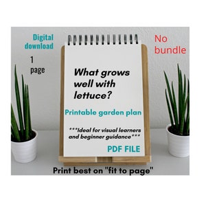 Lettuce-Companion Planting and Garden Layout