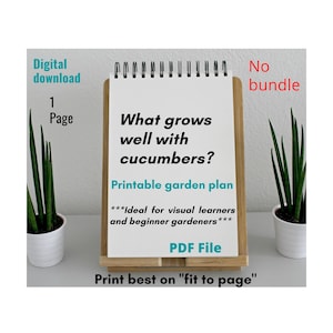 Cucumber-Companion Planting and Garden Layout