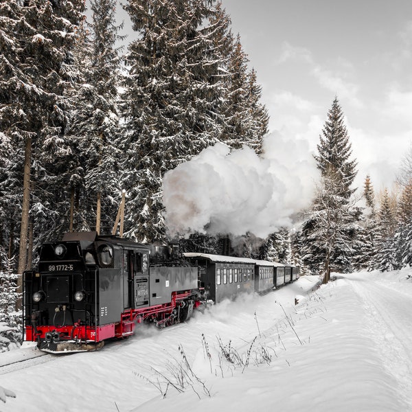 Fotografie "Fichtelbergbahn"