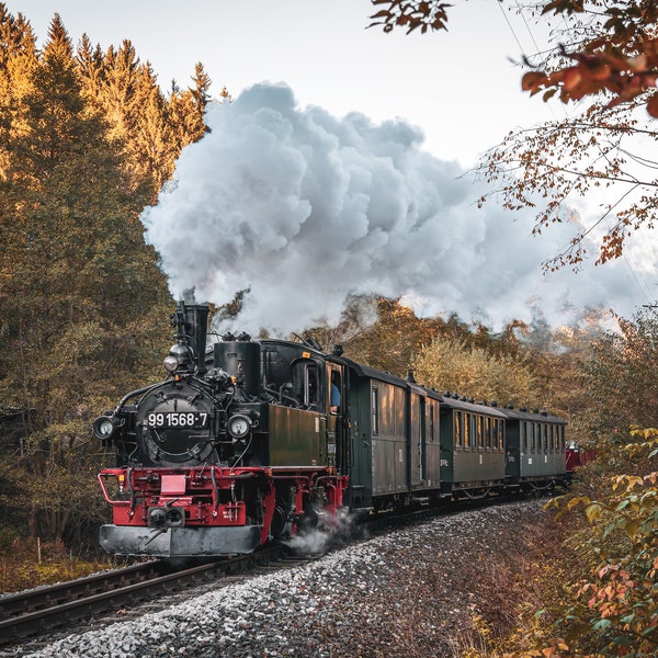 Fotografie "Preßnitztalbahn"