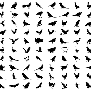 759 oiseaux SVG Lightburn Art Library Lbart fichiers pour Cricut Silhouette Laser métal métal coupe sur bois graver
