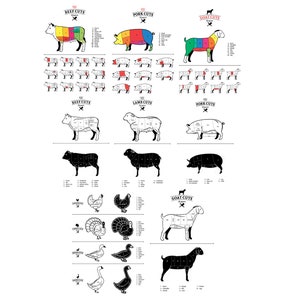 1 SVG Dxf Fleisch geschnitten Tische Laser gravieren Dateien Rind Schwein Ziege Lamm Huhn Pute Ente Gans Cuts
