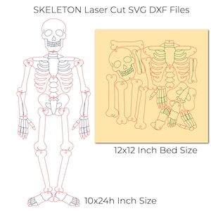 3 Svg Dxf Ludzki szkielet ciała do drewna Mdf Grawerowanie laserowe Plik do cięcia z linią cięcia