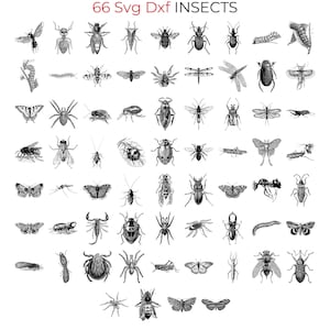 66 SVG Dxf-insectenbundel voor Lightburn-lasergravure: libel, spin, rups, kever, vlinder, kever, bij, termiet, wesp, krekel