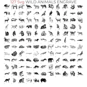 Bundel 127 SVG-wilde dieren voor Lightburn-lasergravure