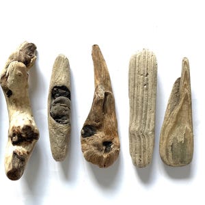 7 Pieces of driftwood, Size 3.9 -5.5&quot;/100 -140 mm from Baltic SeaDriftwood for crafts, Home decor, Beach crafts