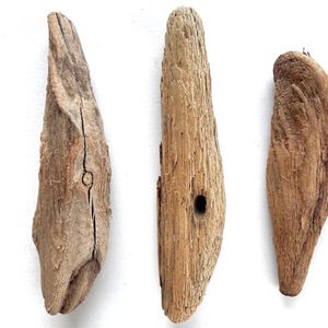 3 Driftwood pieces for crafts, Size 7.8 -9.4&quot;/200-240 mm from Baltic Sea, Unique driftwood, Home decor, Beach crafts, a DIY driftwood