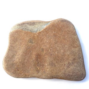 Großer funkelnder Strandstein, Strandstein, Terrarium-Aquarium-Dekor (4.9 "/ 125 mm)