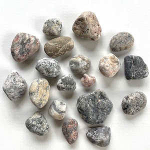 Beach stones(19), Size 0.8-1.8&quot;/20-45 mm Sea stones, beach stone art, pebbles for plant, terrarium stones in bulk, aquarium decor