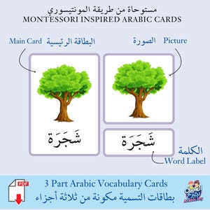 Cartes de vocabulaire arabe en 3 parties inspirées de Montessori - Imprimable numérique - اقات التسمية مونتيسوري كلمات وصور -تنزيل رقمي