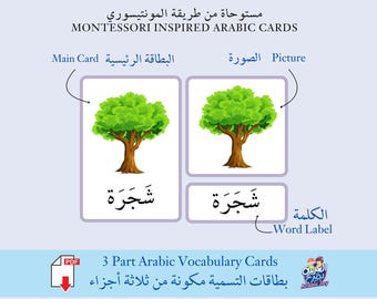 Montessori Inspired 3 Part Vocabulary Nomenclature Arabic Flashcards - Digital Printable - بطاقات التسمية مونتيسوري كلمات وصور -تنزيل رقمي