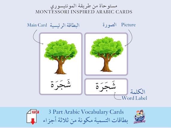 Montessori Inspired 3 Part Vocabulary Nomenclature Arabic Flashcards - Digital Printable - بطاقات التسمية مونتيسوري كلمات وصور -تنزيل رقمي