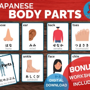 Japanese Body Parts Flashcards, Learn Japanese, Japan Vocabulary, Printable Download, Language Learning, Montessori Cards, Kids Activity