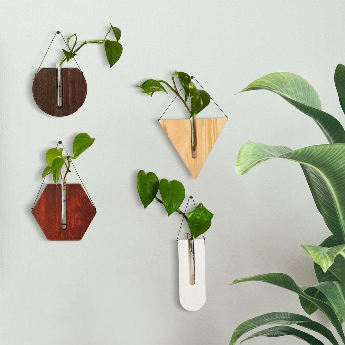 Wall Planter Propagation Station Wooden Wall Planter Indoor - Etsy