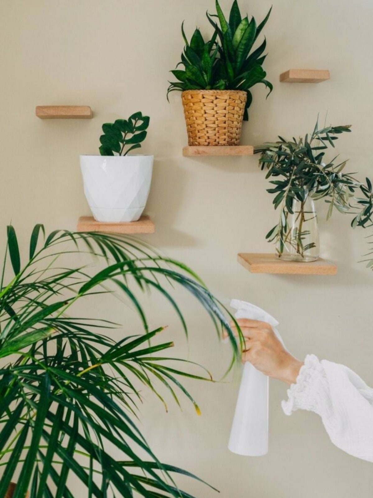 Wall Shelves Wall Shelf Plant Shelf Wooden Floating Shelf Etsy