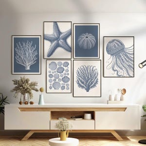 Coastal Wall Art, Set of 6 Beach Prints, Coral Prints, Blue Grey Neutral Print, Beach House Decor, Sea Shells, Starfish Print, Printable Art