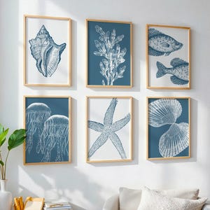 May include: Six framed art prints with a coastal theme. Each print features a different marine life illustration in white against a blue background, including a seashell, coral, fish, jellyfish, starfish, and scallop shells. The frames are light wood.