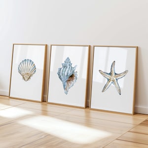 May include: Three framed art prints with watercolour illustrations of a seashell and a starfish. The prints have a white background and gold frames. The seashells are blue and white, and the starfish is blue and gold.