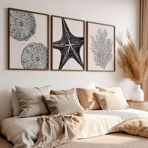 Coastal Wall Art Set of 3: Black & White Sea Life Prints (Digital Download