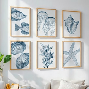 Pode incluir: Seis impressões artísticas emolduradas com ilustrações em azul e branco de vida marinha. As impressões incluem imagens de peixes, águas-vivas, uma concha, corais e uma estrela-do-mar. As molduras são de madeira clara, criando um tema costeiro.
