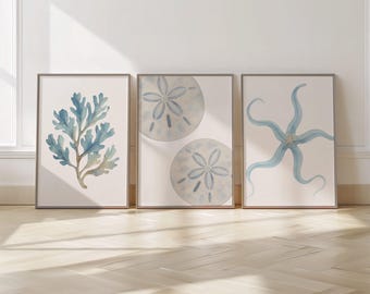 Coastal Sealife-printset: zeewier, zeester en zanddollar (digitale download) - 3-delige muurkunst - blauw nautisch decor