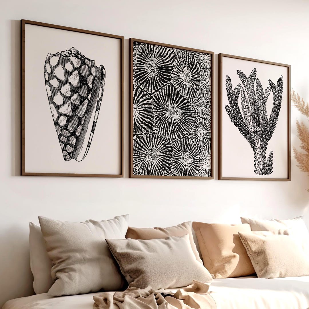 Coastal Wall Art Set of 3 Beach Prints, Coral Prints, Black and White ...