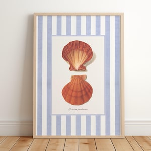 Seashell Print: Grandmillennial Coastal Wall Art (Digital Download)
