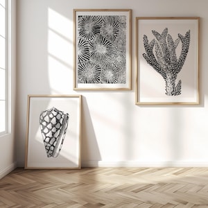 Küsten Wand Kunst Set: Muschel & Koralle Drucke - Nautische Strand Haus Dekoration - Schwarz und Weiß Meeresbewohner Kunstwerk - Vintage Sealife